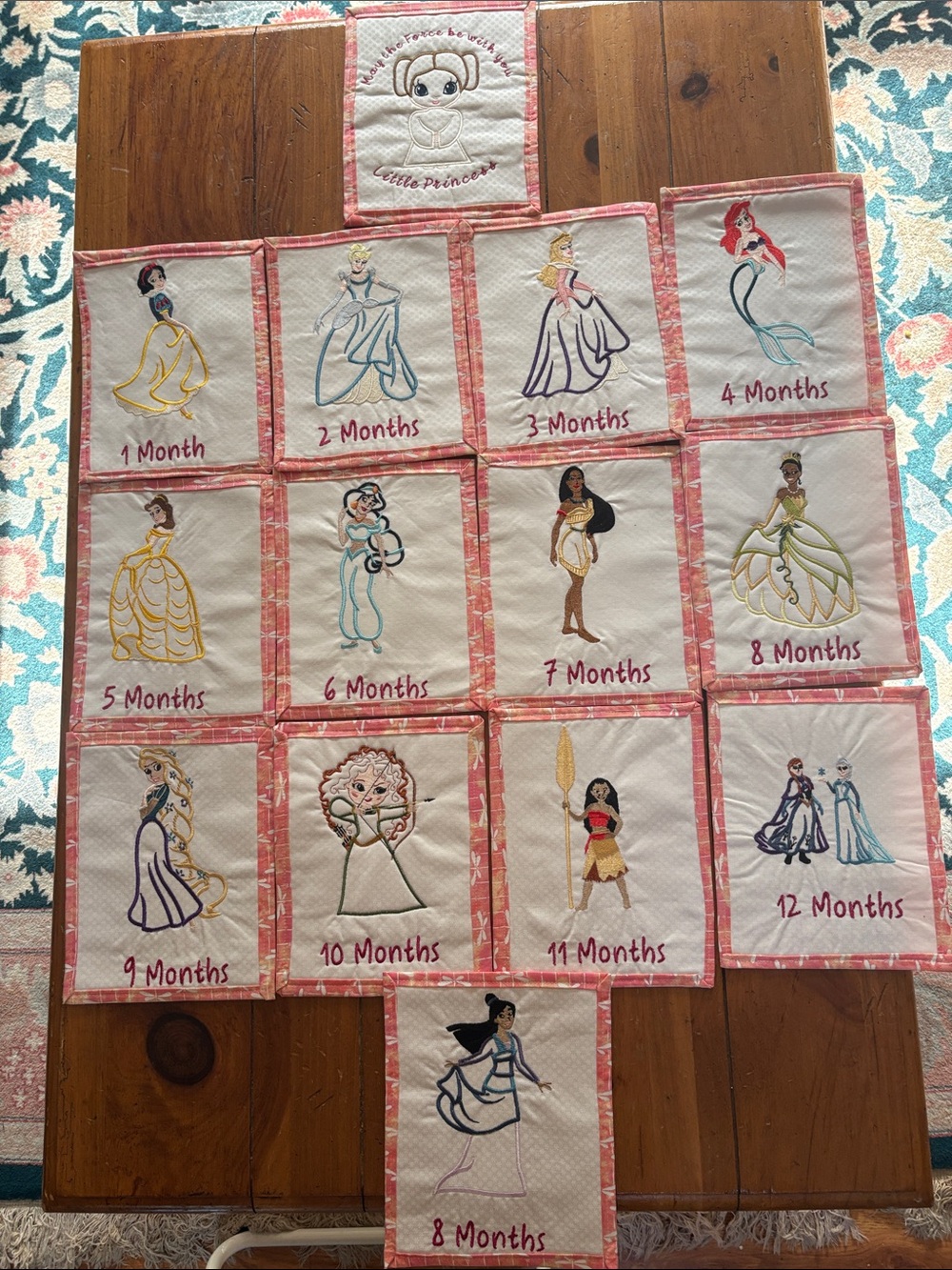 Baby Milestone Blanket Squares - Pink Princess Monthly Photo Props